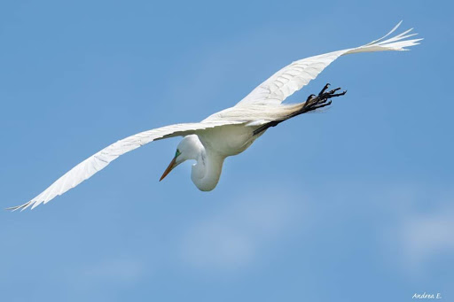  «Ocean City Welcome Center», reviews and photos, 300 W 9th St, Ocean City, NJ 08226, USA