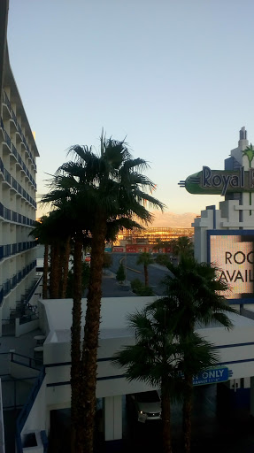 Tourist Attraction «Vegas Indoor Skydiving», reviews and photos, 200 Convention Center Dr, Las Vegas, NV 89109, USA