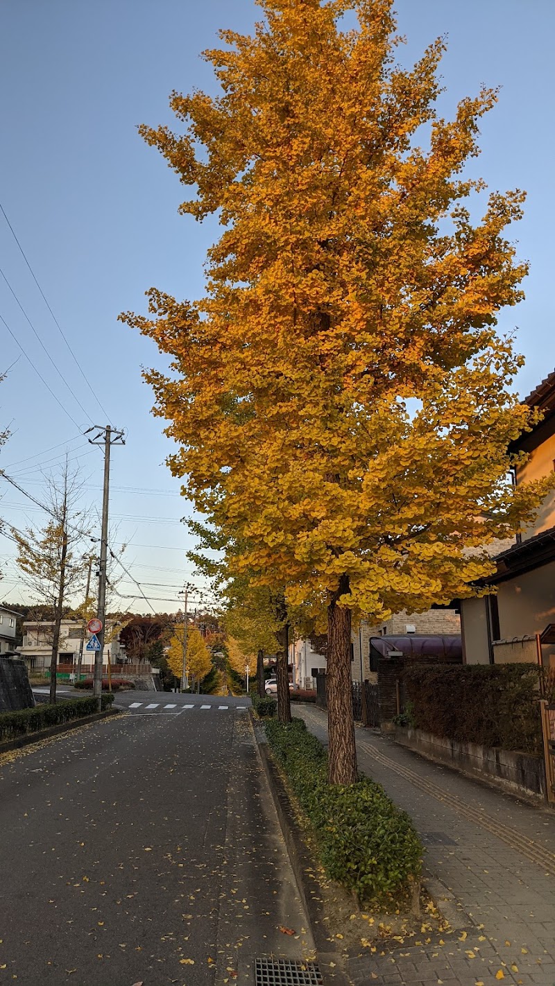 仙台市立八木山南小学校