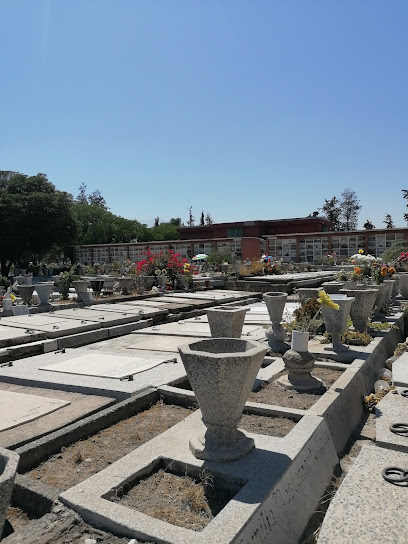 Cementerio Metropolitano