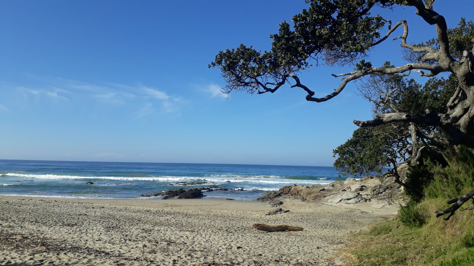 Umngazana beach II的照片 位于自然区域