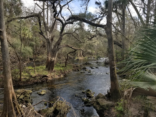 Camping in Tampa