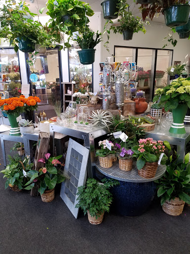 Artificial flower shops in Denver