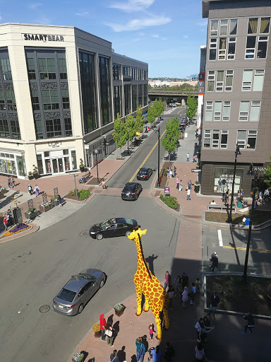 Movie Theater «AMC Assembly Row 12», reviews and photos, 395 Artisan Way, Somerville, MA 02145, USA