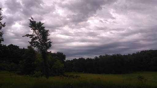 Park «Lake Rebecca Park Reserve», reviews and photos, 9831 Rebecca Park Trail, Rockford, MN 55377, USA