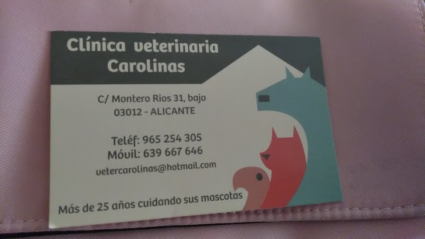 Veterinario