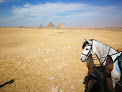 Places to ride a horse in Cairo