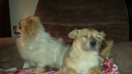 Park «Jaycee Park», reviews and photos, Beverly J Griffin Dr, Romeoville, IL 60446, USA