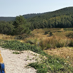 Photo n° 1 de l'avis de ANDRE.R fait le 13/09/2020 à 14:05 pour Ferme-auberge Musmiss à Soultzeren