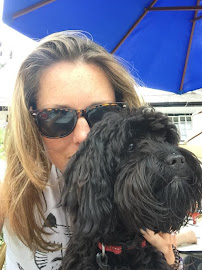 Gabbys Dog Walking & Pet Care Services - Photo 6 - Car repair in Westhampton, MA, Springfield