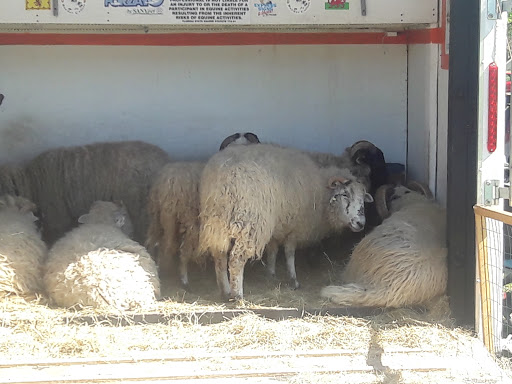 Park «Plantation Heritage Park», reviews and photos, 1100 S Fig Tree Ln, Plantation, FL 33317, USA