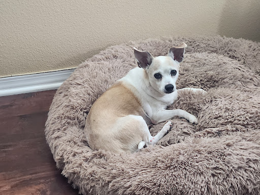 Menifee Animal Hospital image
