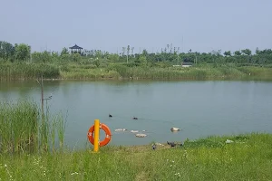 김포한강생태공원 Eco park image