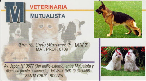 Clínica Veterinaria Mutualista