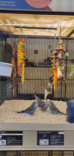 Pet Supply Store «PetSmart», reviews and photos, 3630 Peachtree Pkwy, Suwanee, GA 30024, USA