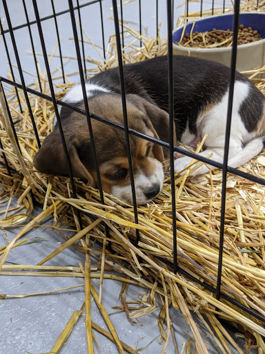 Pet Store «Teske Pet & Garden», reviews and photos, 2423 16th St, Moline, IL 61265, USA