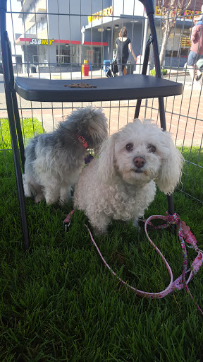 Pet Supply Store «Pet Food Express», reviews and photos, 3160 20th Ave, San Francisco, CA 94132, USA