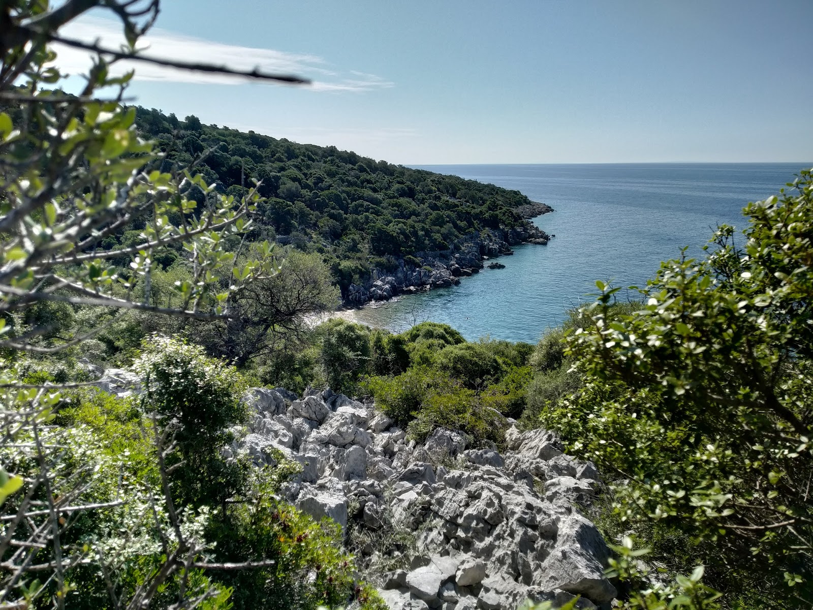 Foto av Olive Gardens beach med lätt sten yta