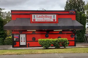 Ladybug Espresso image