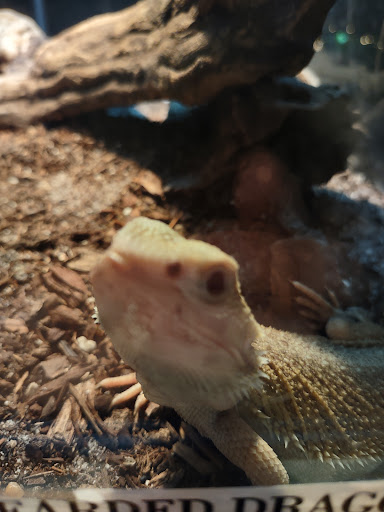 Pet Store «Fins Feathers Paws & Claws», reviews and photos, 436 Main St, Harleysville, PA 19438, USA