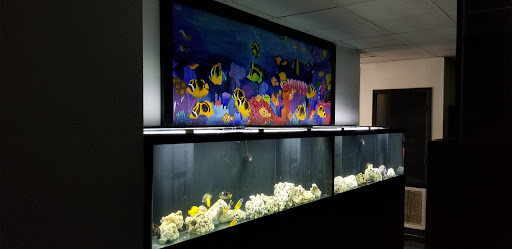 Tropical Fish Store «Aquarium Concepts», reviews and photos, 2110 E 70th St, Shreveport, LA 71105, USA