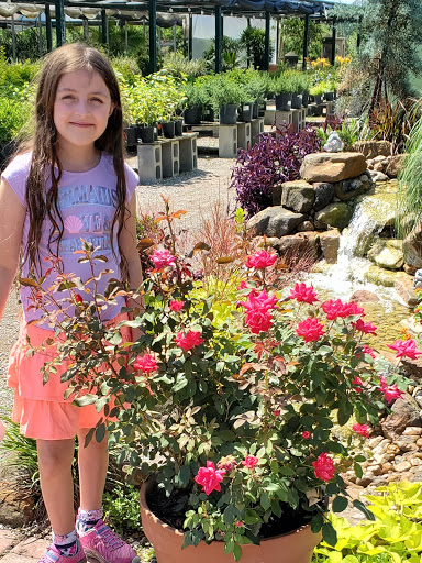 Plant Nursery «HOUSTON PLANTS & GARDEN WORLD», reviews and photos, 16726 North Fwy, Houston, TX 77090, USA