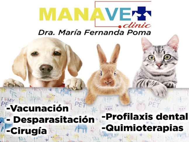 Manavet - Médico
