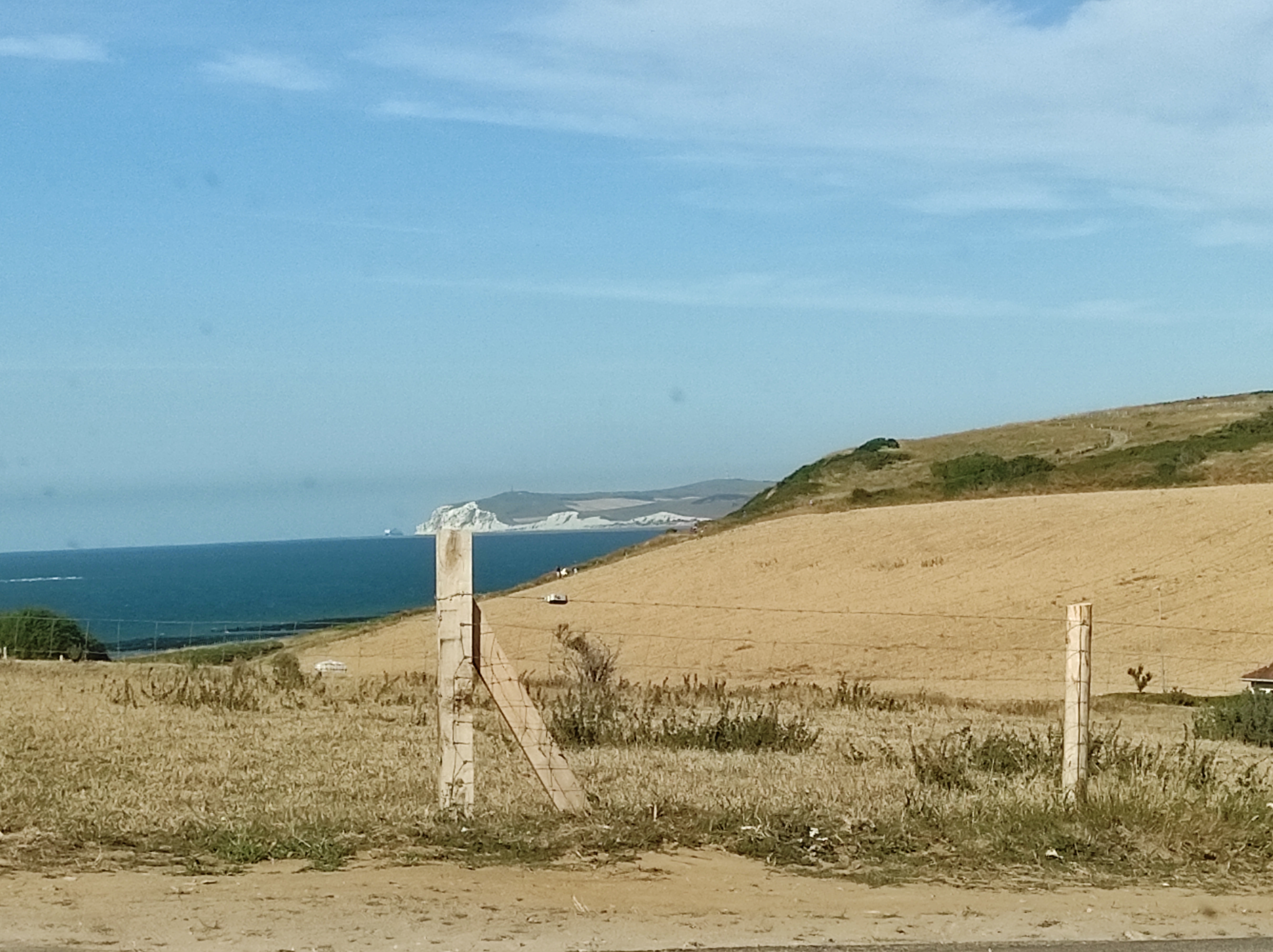 Photo n° 1 de l'avis de Sauvage.u fait le 16/07/2022 à 17:32