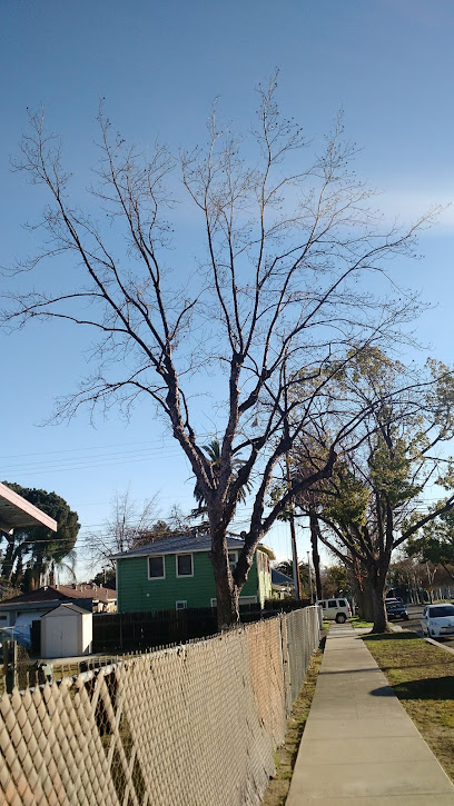 A & J Tree Service