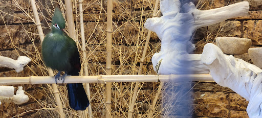 Childrens Farm «Best Long Island Pumpkin Picking», reviews and photos, 250 Old Country Rd, Melville, NY 11747, USA