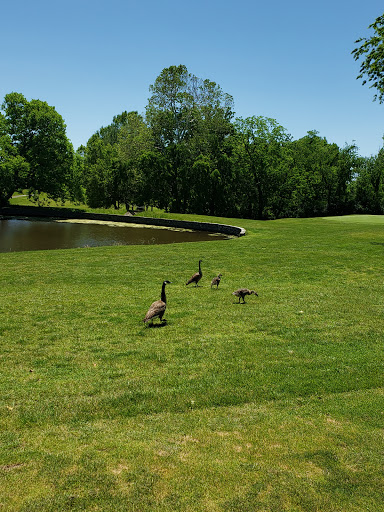 Golf Course «Tates Creek Golf Course», reviews and photos, 1400 Gainesway Dr, Lexington, KY 40517, USA