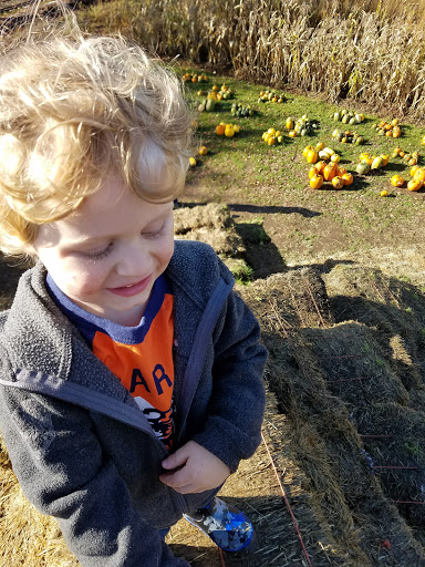 Railroad Company «Flower Farmer», reviews and photos, 2512 N Holly St, Canby, OR 97013, USA