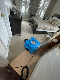 Tulip Carpet Cleaning of Teaneck - Photo 2 - Car repair in , Bronx