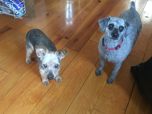 Pet Supply Store «PetSmart», reviews and photos, 57 W Aylesbury Rd, Lutherville, MD 21093, USA