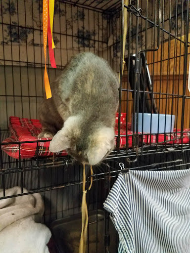 Book Store «Longfellow Books», reviews and photos, 1 Monument Way, Portland, ME 04101, USA