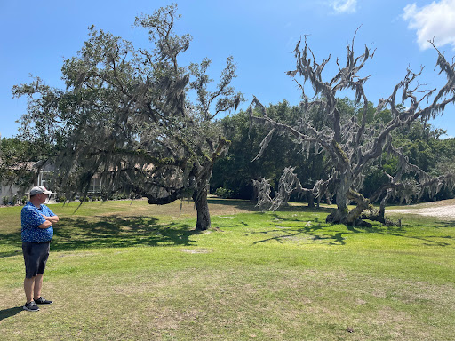 Golf Club «Crescent Oaks Golf Club», reviews and photos, 3300 Crescent Oaks Blvd, Tarpon Springs, FL 34688, USA