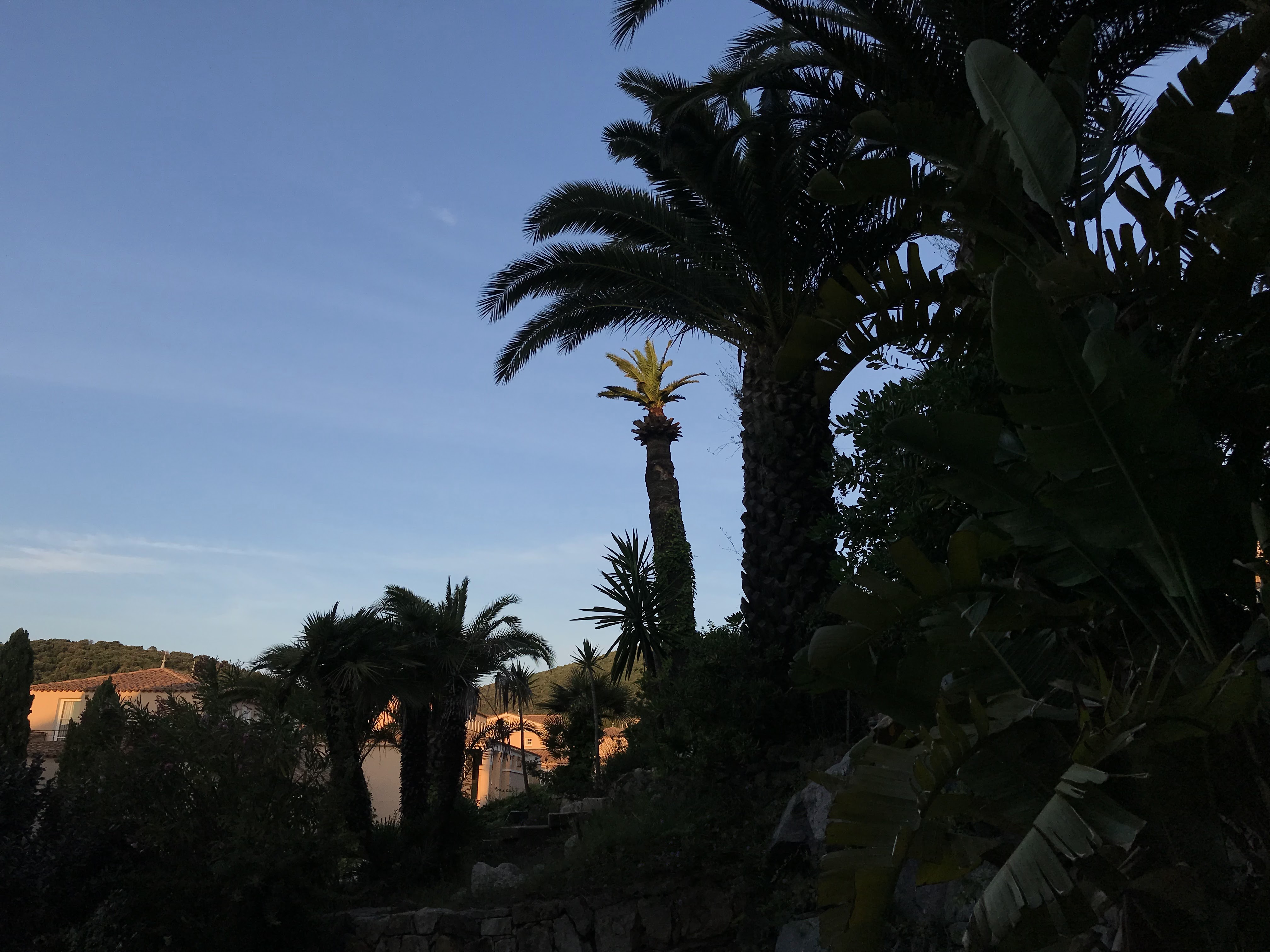 Photo n° 5 de l'avis de Ola. fait le 30/06/2018 à 02:06