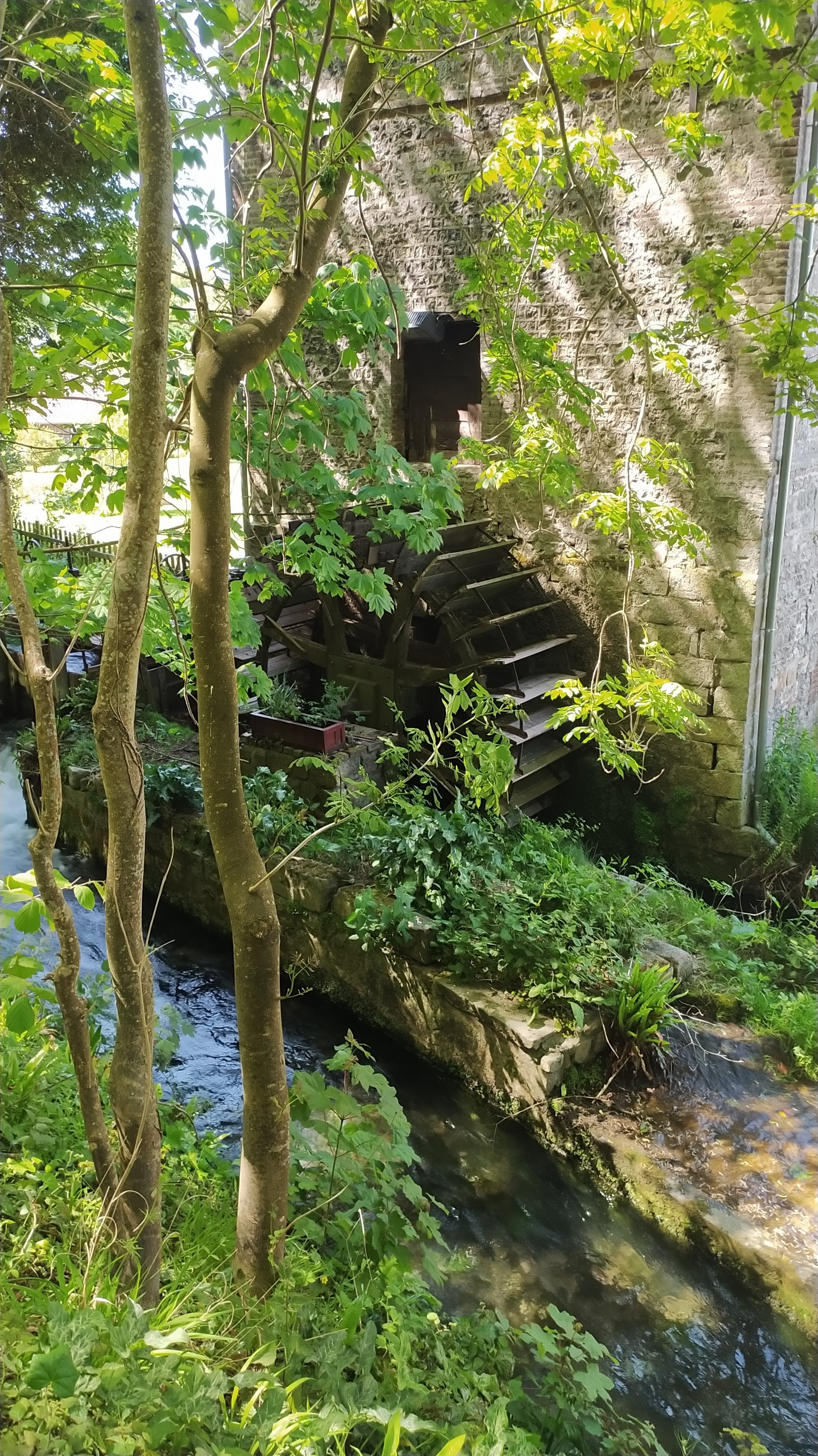 Photo n° 8 de l'avis de Annette. fait le 13/05/2022 à 16:54