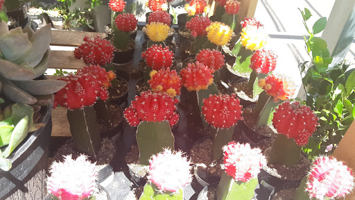 Home Improvement Store «The Home Depot», reviews and photos, 2580 Notre Dame Blvd, Chico, CA 95928, USA