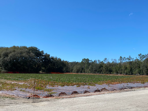 Farm «Oak Haven Farms», reviews and photos, 32418 Avington Rd, Sorrento, FL 32776, USA