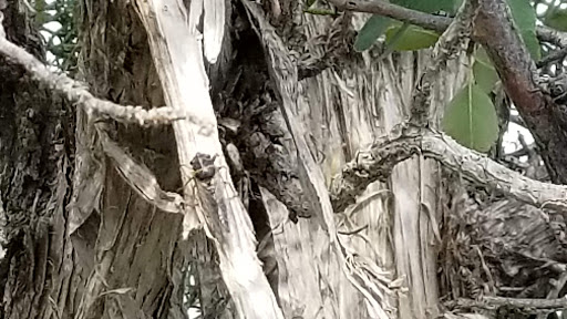 Campground «Morefield Campground», reviews and photos