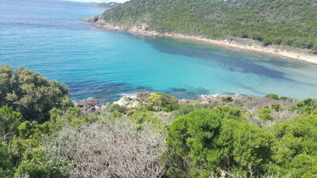 Photo n° 1 de l'avis de gérard.7 fait le 22/05/2018 à 17:20