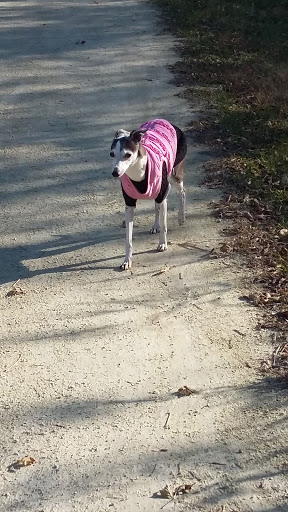 Nature Preserve «Blackwell Forest Preserve», reviews and photos, Butterfield Rd, Warrenville, IL 60555, USA