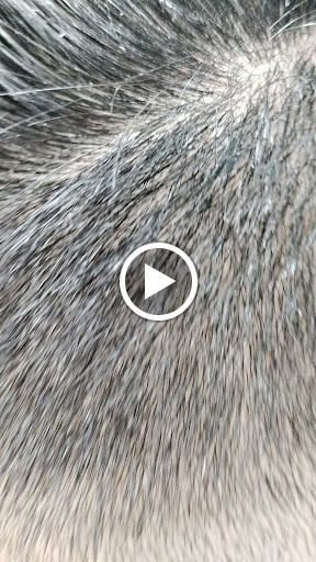 Barber Shop «Superior Touch Barber, Beauty & Nail Shop», reviews and photos, 1147 W Columbia Ave, Kissimmee, FL 34741, USA