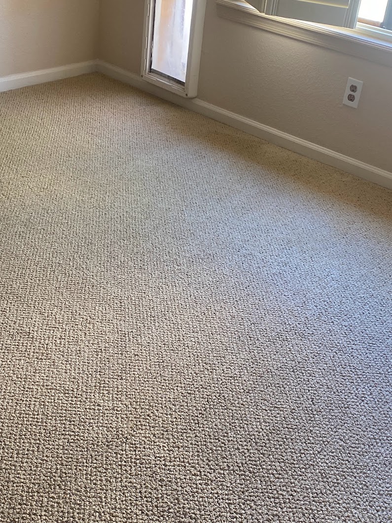 A Spotless House Carpet and Tile Cleaning