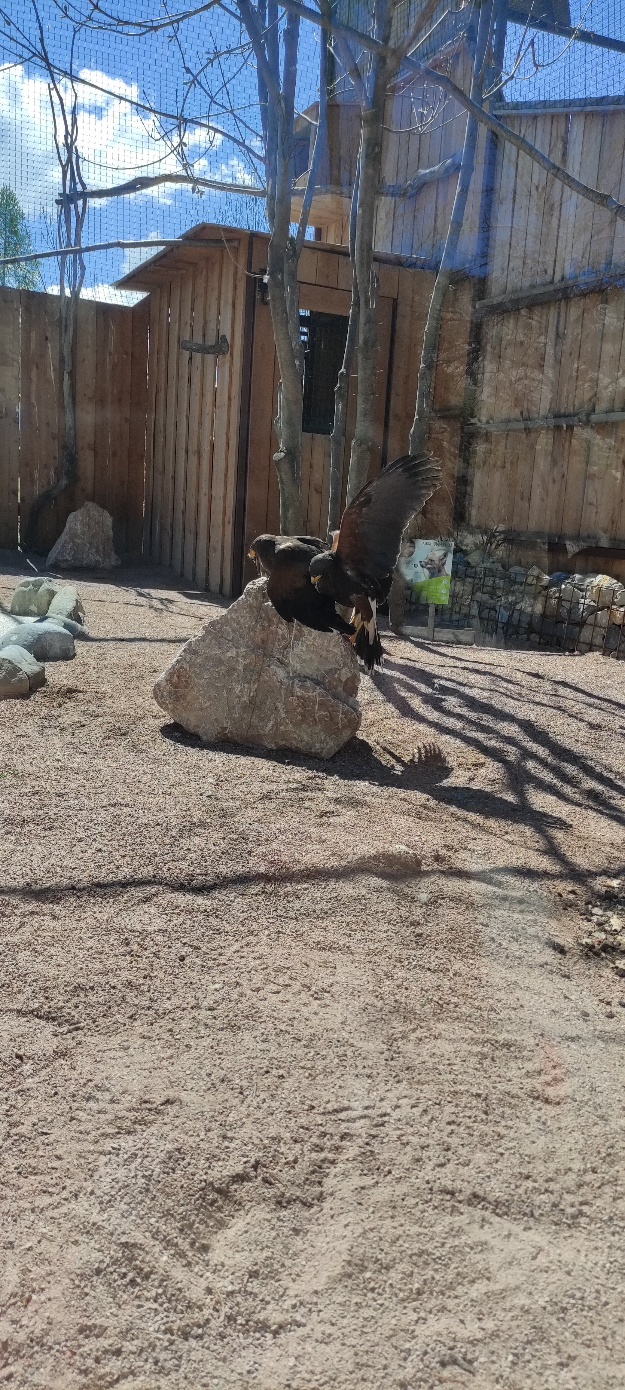 Photo n° 14 de l'avis de Alexia.a fait le 20/04/2023 à 07:36