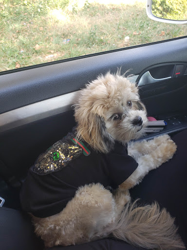 Pet Supply Store «Petco Animal Supplies», reviews and photos, 61-23 190th St, Fresh Meadows, NY 11365, USA