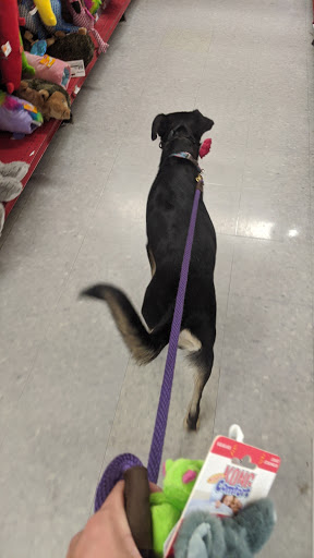 Pet Supply Store «Petco Animal Supplies», reviews and photos, 103 Commerce Way a, Woburn, MA 01801, USA