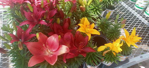 Home Improvement Store «The Home Depot», reviews and photos, 4829 US-90, Pace, FL 32571, USA