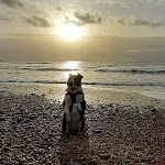 Photo n° 3 de l'avis de MARTINE.u fait le 18/11/2023 à 15:01 pour Plage de Saint-Jouin-Bruneval à Saint-Jouin-Bruneval